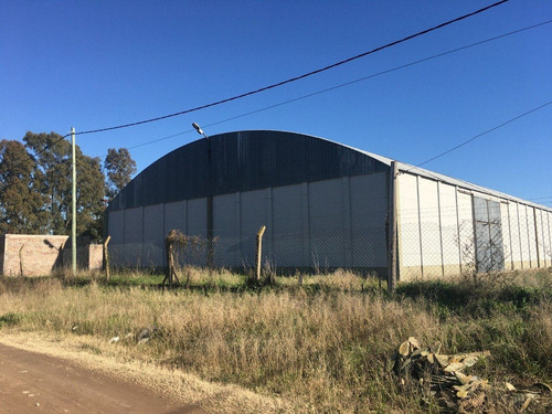 Imagen 3 de 21 de Galpón De 800 M2 Agustín Álvarez 4100 (sector Scania U$s 180.000)