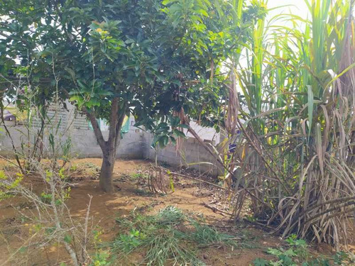 Imagem 4 de 15 de Terreno Parque São Martinho - Bitr00033