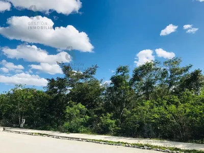 Terreno en venta