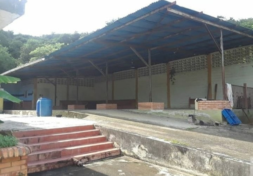 Imagen 9 de 14 de Finca En El Sector El Polvero De San Diego.