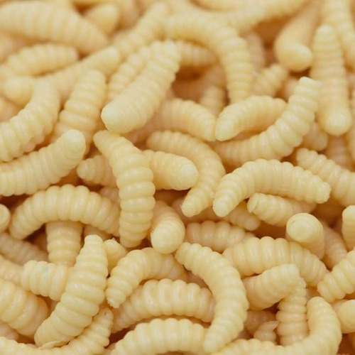 Imagem 3 de 3 de Larva Bichinho Da Laranja Artificial 2 Cm C/ 30 Un.