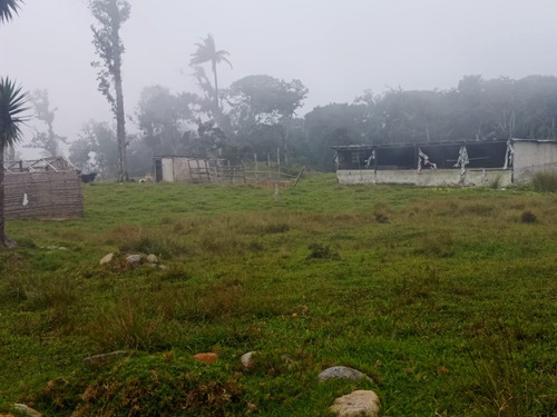 Finca En Venta Aldea La Montaña-lobatera/im