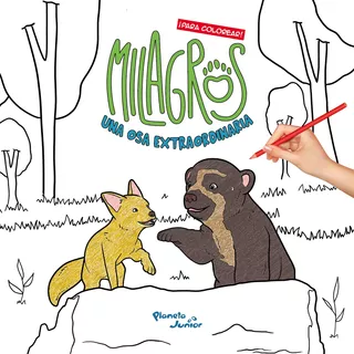 Milagros Una Osa Extraordinaria - Para Colorear