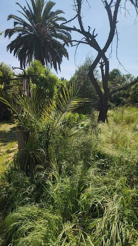 Oportunidad De Sitio En Venta, La Reina