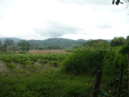 Imagen 1 de 30 de ( Terreno O Finca Agro Ecologica En Venta Chivacoa Sector Charay. Sorte 23-31244 As-1