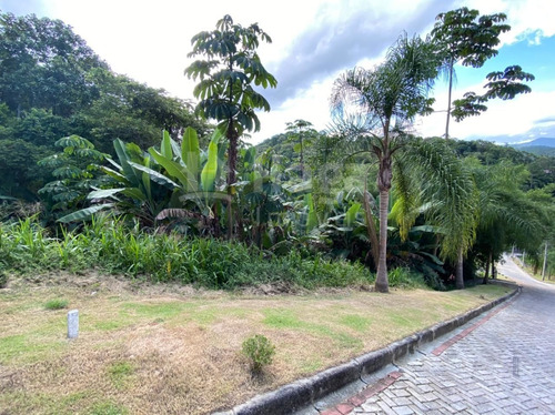 Terreno À Venda Em Brusque/sc - 369