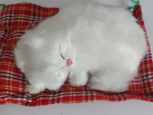 Gato Filhote Realista Caminha Branco Super Fofinho