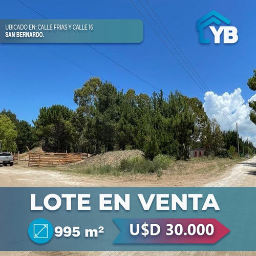 Lote En Venta En San Bernardo