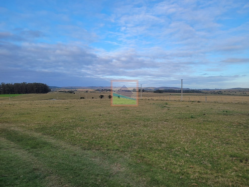 Imagen 20 de 26 de Campo De 34 Hás Con Casa Ruta 12 Pueblo Edén