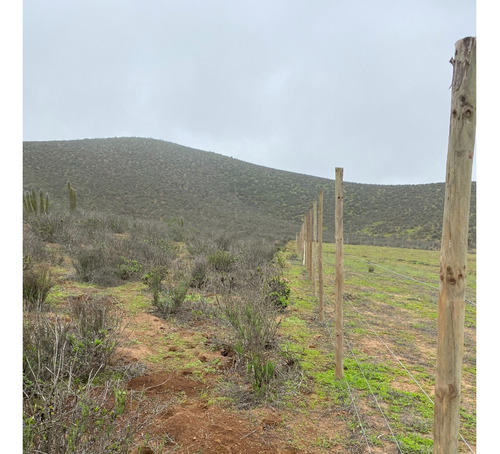 Sector El Incienso, Las Barrancas, Coquimbo Parcela De 2 Has