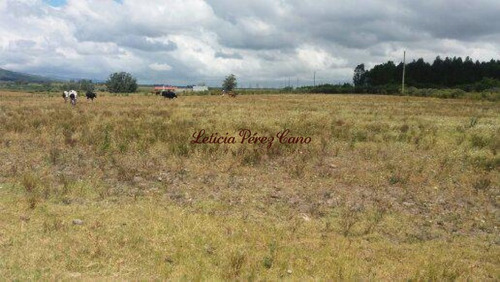 Imagen 7 de 8 de Venta Chacra En El Límite De Maldonado Y Lavalleja.