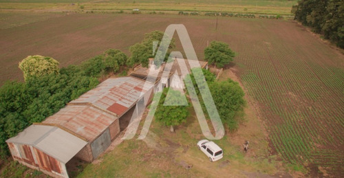 Imagen 5 de 12 de 21 Has Agricolas Alvear