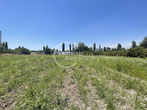 Sitio En Venta En San José, Colina