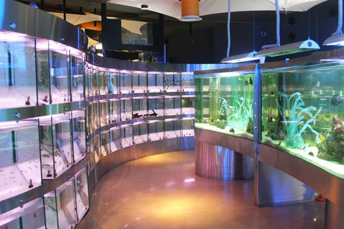 Imagen 7 de 10 de Mini Compresora Para Acuario Resun Aco-012a