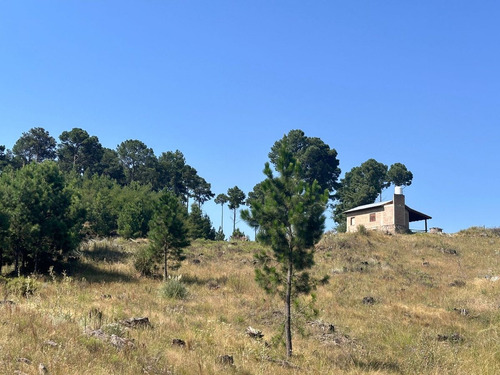 Cabaña Con 1 Hectárea Y Media En Yacanto!!