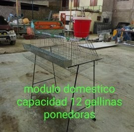 Casa Doméstica Para 12 Gallinas Ponedoras