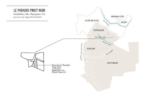 Domaine Nico Le Paradis Pinot Noir - Vino Icono De Parcela