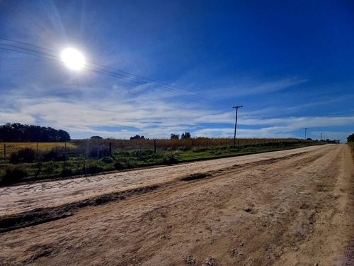 Imagen 4 de 7 de Campo De 62100m2 Agrícolas En Mechongue