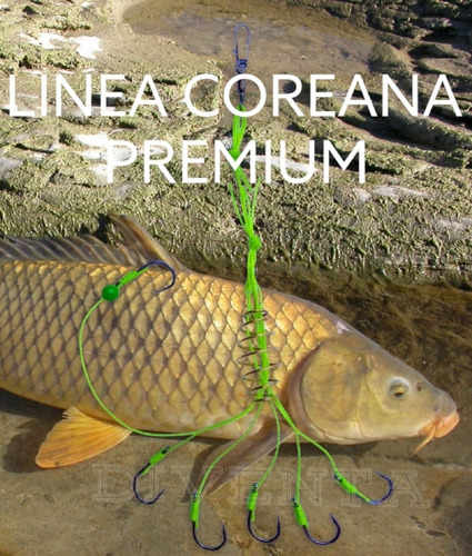 Linea Coreana Para Carpa Boga Anzuelos Resorte + Regalo