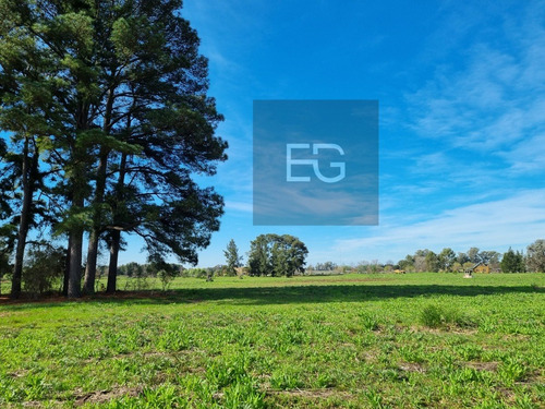 Imagen 1 de 16 de Lotes 1500 M2 Barrio Pinares Exaltación De La Cruz
