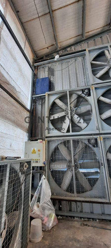Imagen 14 de 22 de Granja Modelo Productora Huevos Venta Automatizada Baradero, Campo 4hts