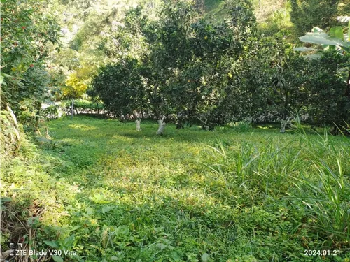 Vendo Finca La Vega Cundinamarca