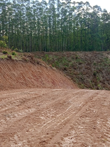 Imagem 12 de 12 de Pj* Proprietário Com Lotes Excelentes Com Vista Para Área Verde Confira *