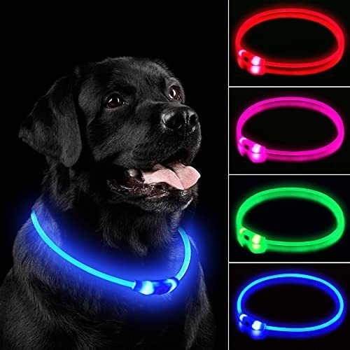 Novkin Led Collar De Perros , Recargable De Luz 3skc2