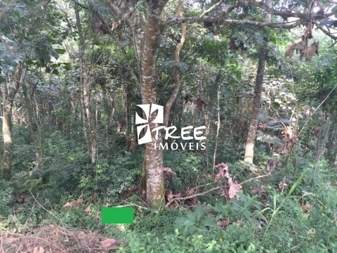 Imagem 1 de 2 de Venda Terreno Condomínio Country Club/arujá A/t 450m² Em Declive. O Condomínio Possui Uma Privilegiada Área Verde E Uma Infraestrutura De Primeiro Mu - Te00805 - 69909936