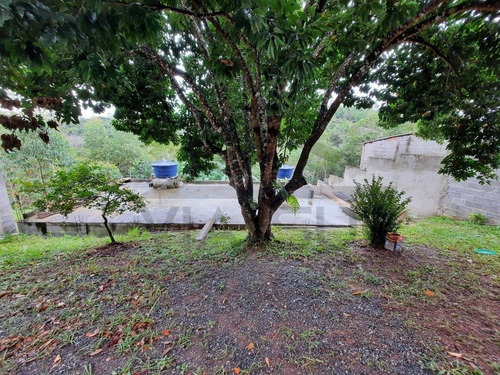 Imagem 22 de 30 de Chácara À Venda Em Juquitiba - 414 - 34854187