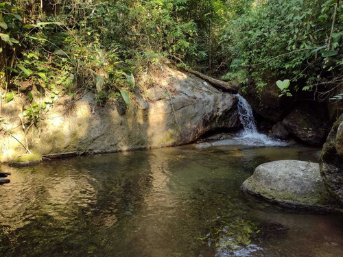 Imagem 13 de 14 de Sitio Medindo 12 Alqueires Com Cachoeira Particular