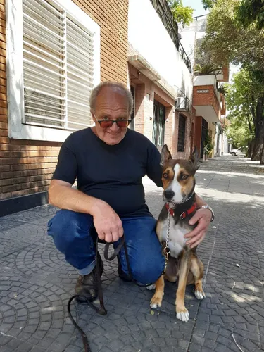 Adiestramiento Canino Profesional - Jorge Arazi