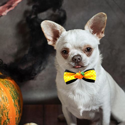 2 Collar De Gato, Collar De Otoño, Halloween, Estilo G