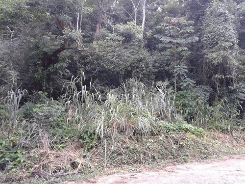 Imagem 2 de 2 de Terreno, 2100 M² Por R$ 300000- Várzea Das Moças - Niterói/rj - Te3421