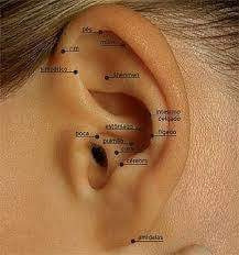 Cuponera De 5 Sesiones De Auriculoterapia 