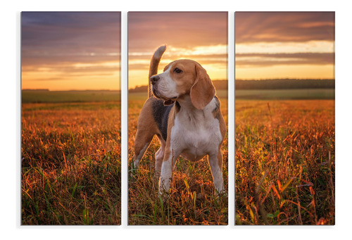 Set De 3 Cuadros Canvas Retrato Perro Beagle 90x130cm