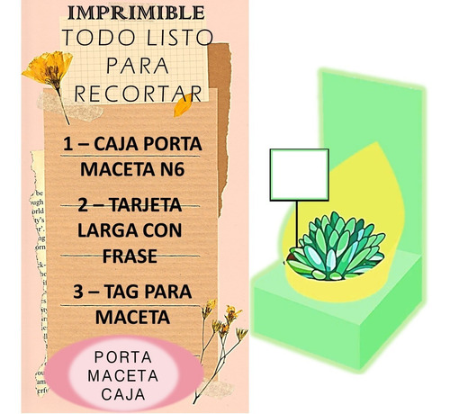 Imagen 2 de 3 de Kit Imprimible Caja Porta Maceta Para Mamá 005 Con Tarjeta
