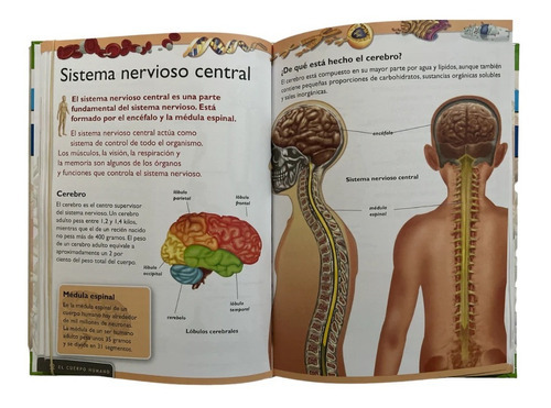 Gran Libro Del Cuerpo Humano, De Saldaña. Editorial Ediciones Saldaña, Tapa Dura En Español