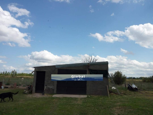 Imagen 15 de 26 de Excelente Finca De 31 Has En San Rafael , Mendoza Zona Vitivinícola Argentina