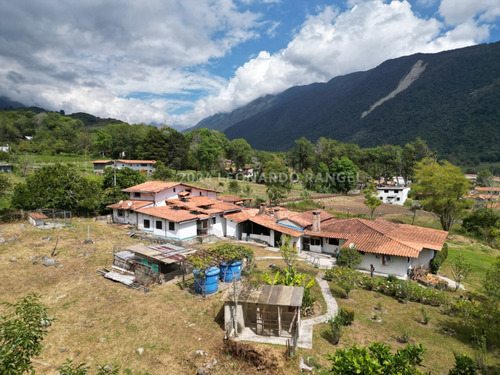 Se Vende Terreno De 7200 Mts.² Con 2 Casas En El Valle, Mérida