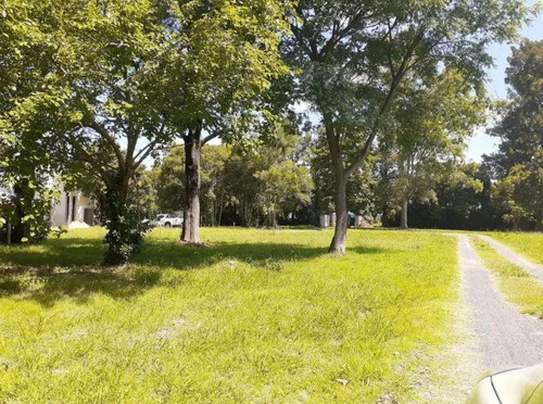 Imagen 6 de 7 de Terreno En Venta - 450mts2 Totales - Joaquín Gorina