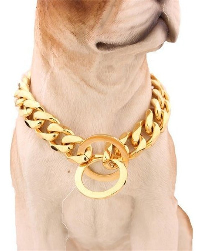 Collar De Lujo Para Mascotas Especiales Cadena Gruesa Y Códi