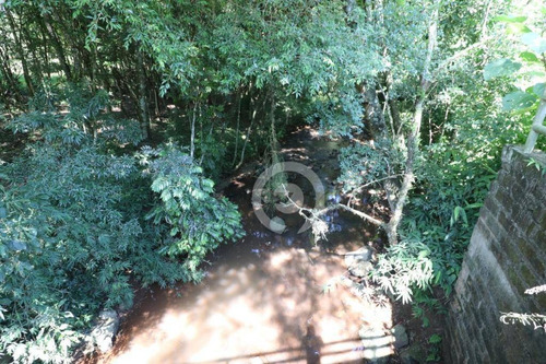 Imagem 12 de 15 de Área De Terra À Venda Em Picada Schneider 30000 M²- Presidente Lucena/rs - Ar0014