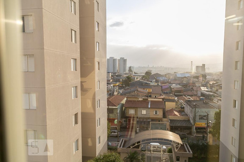 Imagem 9 de 15 de Apartamento Para Aluguel - Vila Augusta, 3 Quartos, 68 - 893378787