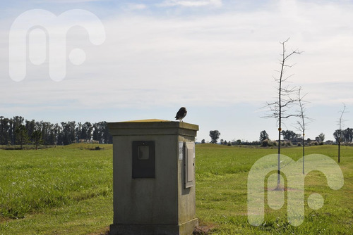 Imagen 5 de 13 de Venta Lote Area 60
