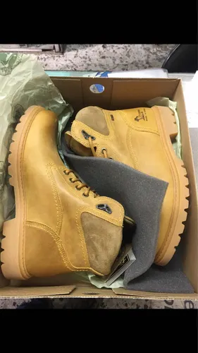Botas Panama Jack Zapatos Hombre Westland MercadoLibre