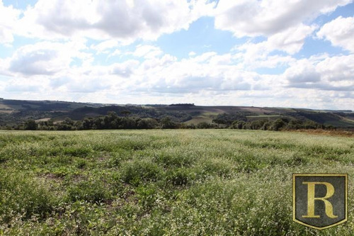 Imagem 8 de 15 de Chácara Para Venda Em Guarapuava, Área Rural - Ch-0003_2-141506