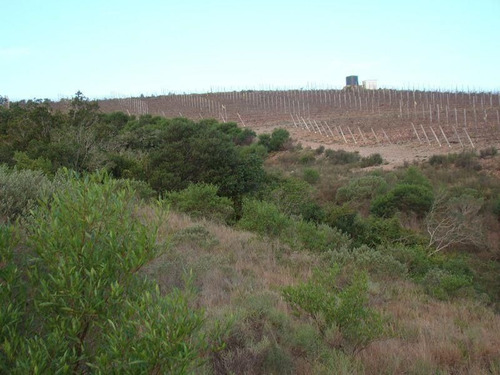 Imagen 15 de 15 de Chacra En Abra De Perdomo, Maldonado