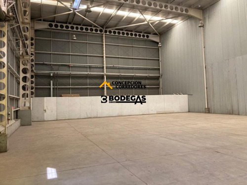 Arriendo Bodega De 777 M2 En Pi De San Bernardo.