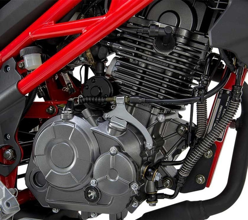 Imagen 7 de 13 de Benelli Tnt 135 - 0 Km - Oficial Benelli - Bonetto Motos